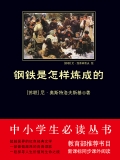 钢铁是怎样炼成的（中小学生必读丛书）