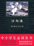 沙与沫（中小学生必读丛书）