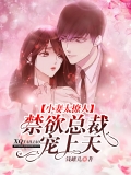 小妻太撩人：禁欲总裁宠上天