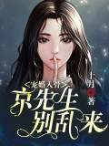 宠婚入骨：京先生别乱来