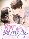 你好，执行官先生