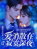 爱消散在寂寞深夜 爱消散在寂寞深夜