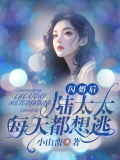 闪婚后,陆太太每天都想逃 闪婚后,陆太太每天都想逃