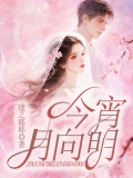今宵月向明 今宵月向明