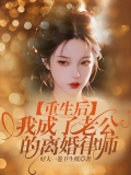 重生后,我成了老公的离婚律师 重生后,我成了老公的离婚律师