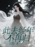 此去经年不再归