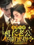 为爱闪婚：机长老公的甜蜜指令